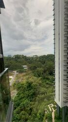 normanton-park photo thumbnail #4